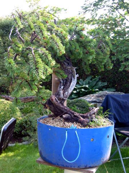 JPP 138-3814_IMG.jpg