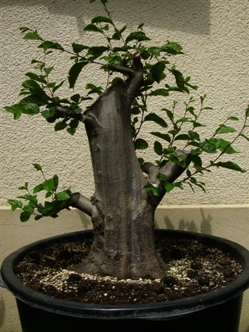 27.05.2007.jpg