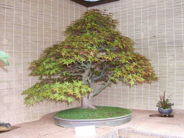 DSCF0011.jpg