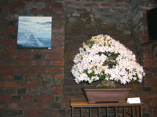 DSCF0030.jpg