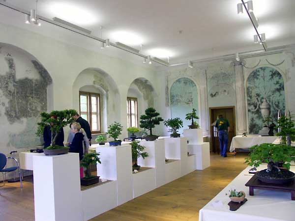 PICT0838.jpg