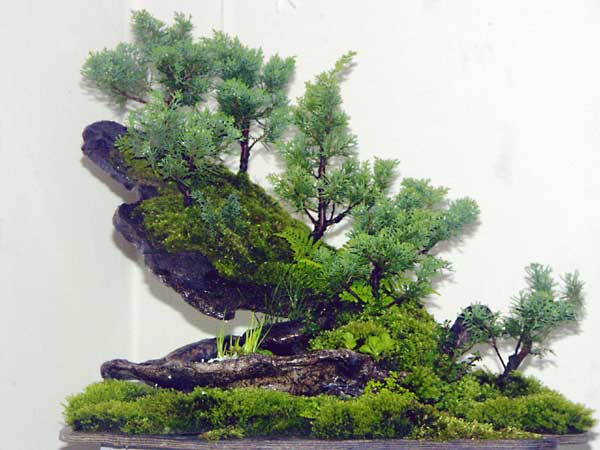 PICT0791.jpg