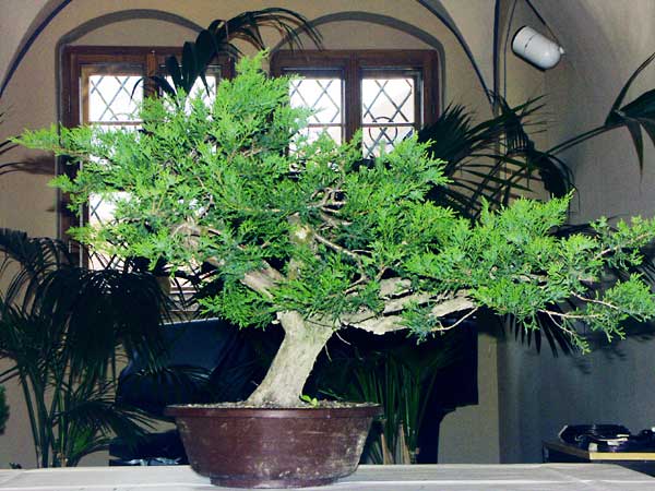 PICT0804.jpg