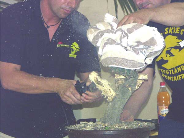 PICT0813.jpg