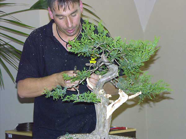 PICT0821.jpg