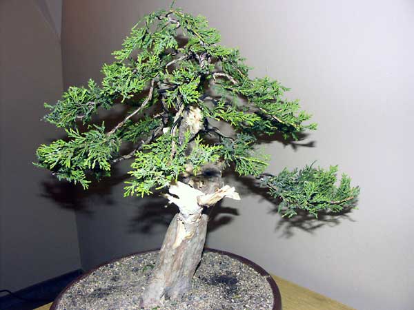 PICT0829.jpg