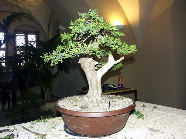 PICT0822.jpg