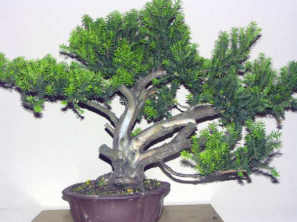 PICT0833.jpg