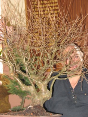 IMG_0124bonsai.jpg