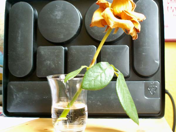 PICT0002.jpg