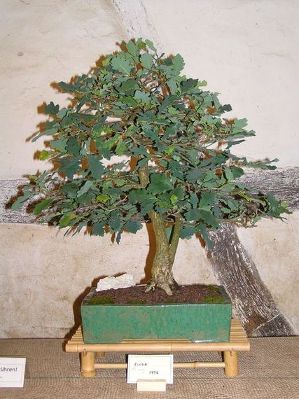 neue Bilder 795 Beuren.jpg
