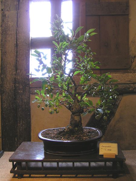 neue Bilder 794 Beuren.jpg