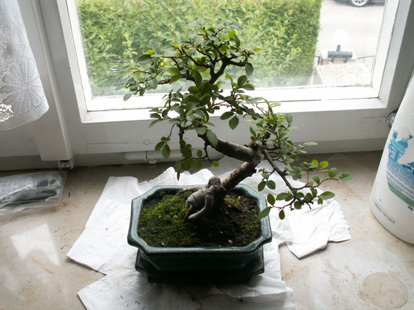 2006 von schräg oben