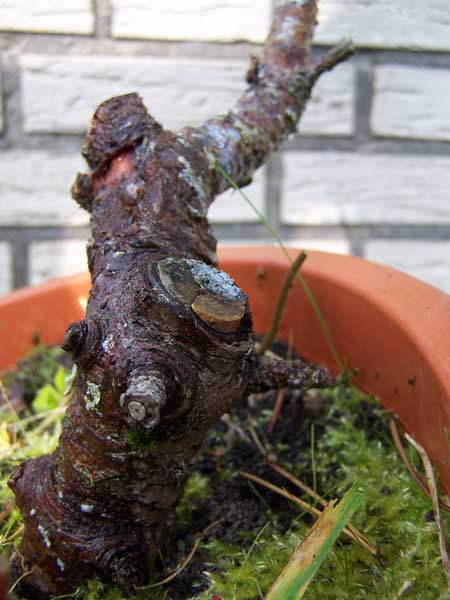 100_7249.jpg