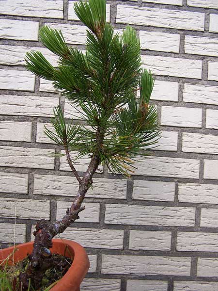 100_7248.jpg