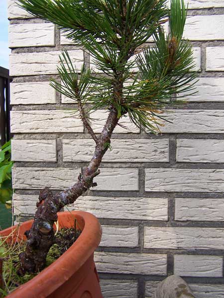 100_7247.jpg