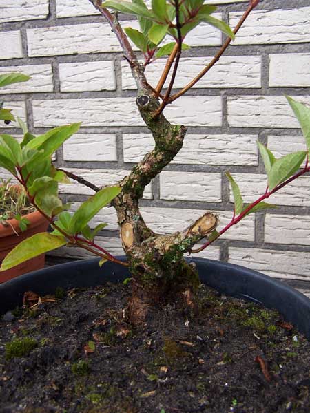 100_7243.jpg