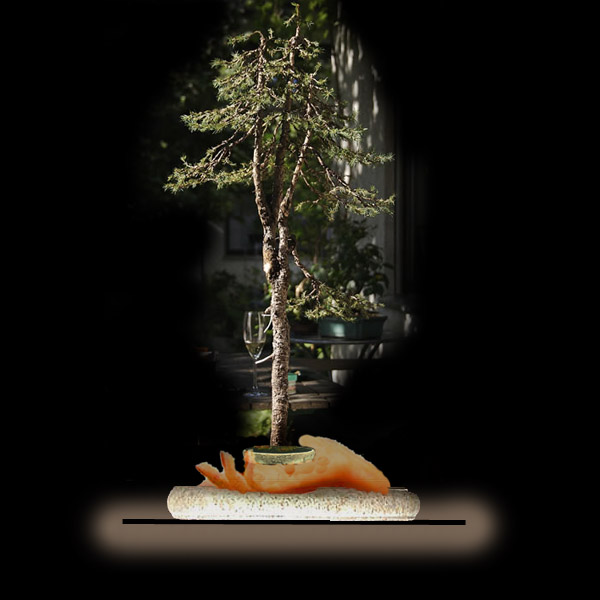 RFV.jpg