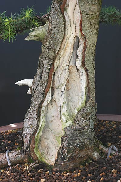 DSC_3189v.jpg