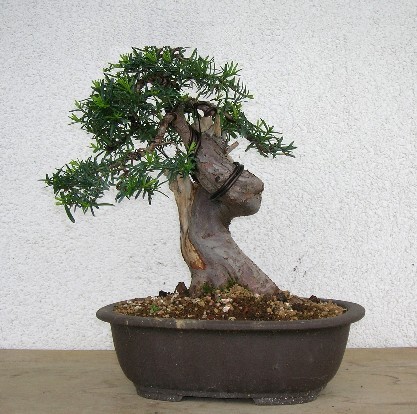 eibe_07_virt.jpg