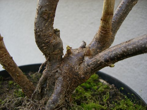 CIMG0798.JPG