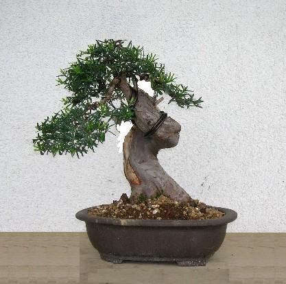 eibe_07_virt2.jpg