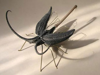 thefly.jpg