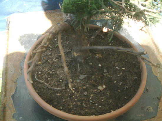Bild 014.jpg