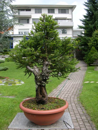 #07-Rohling-von-vorne.jpg
