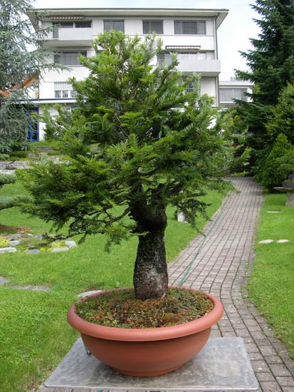 #05-Rohling-von-hinten.jpg