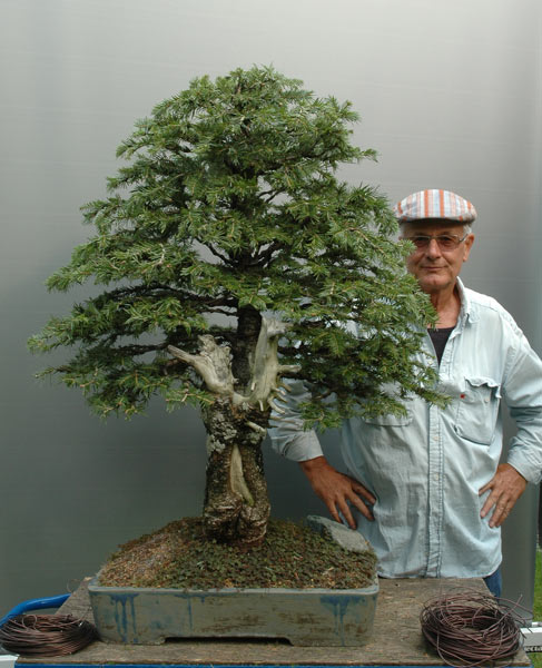 Der Baum ist noch nicht fertig gestaltet. Es fehlt etwas Drahtarbeit an der Spitze. Das endültige Bild folgt später.