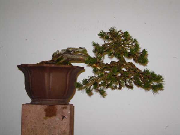 Bild 003.jpg