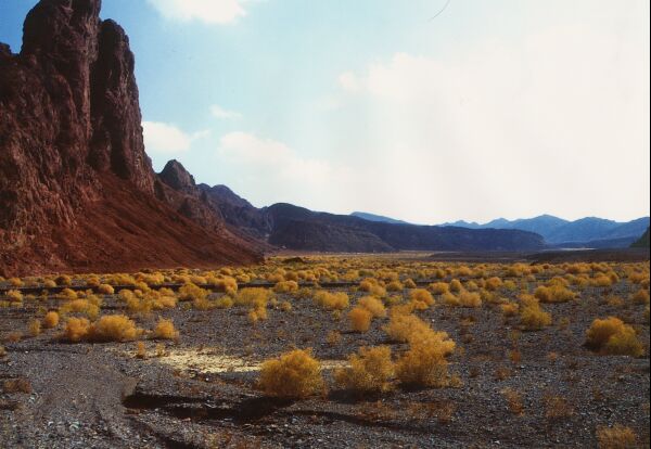 Eastern Desert