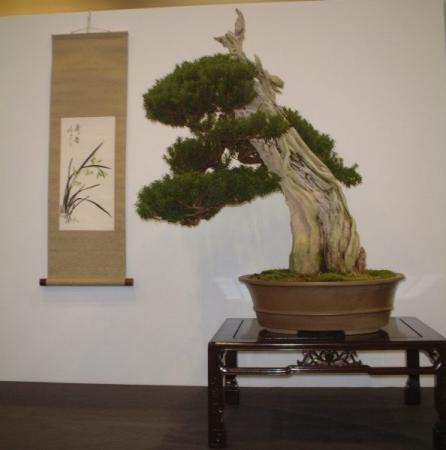 DSCF1432.JPG