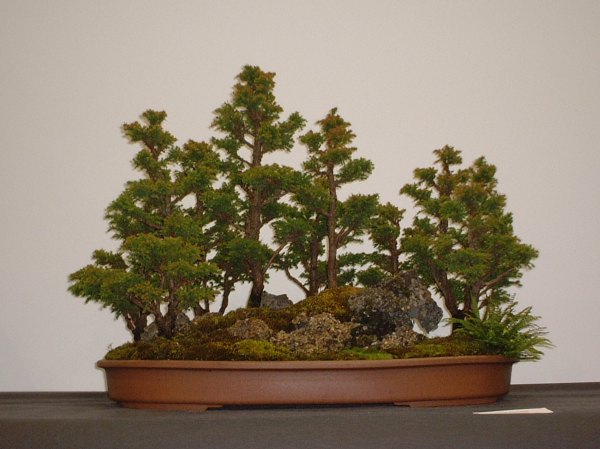 DSCF1429.JPG