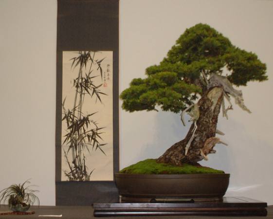 DSCF1440.JPG