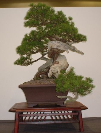 DSCF1447.JPG