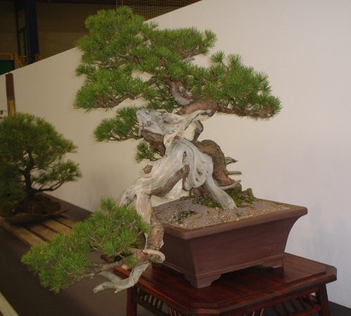 DSCF1448.JPG