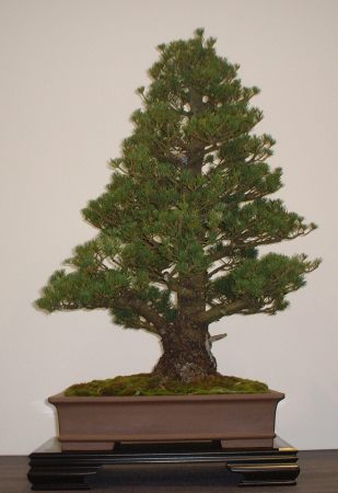 DSCF1446.JPG