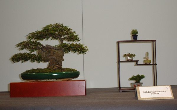 DSCF1453.JPG