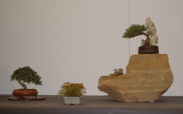 DSCF1449.JPG