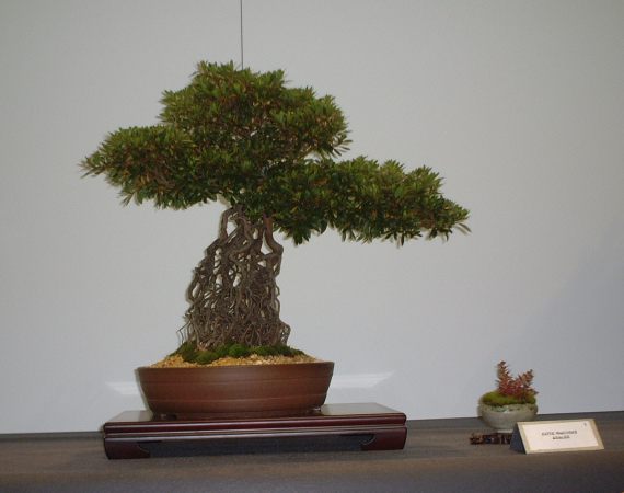 DSCF1455.JPG