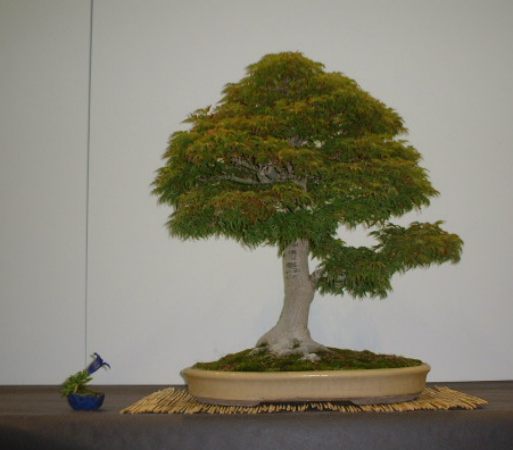 DSCF1461.JPG