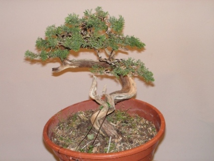 PICT0027.JPG