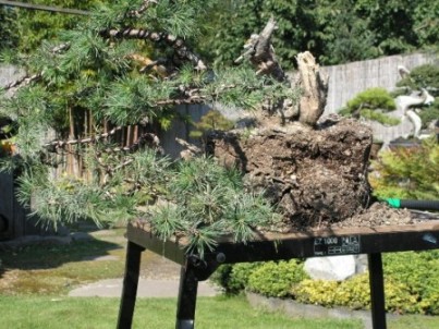 PICT0020.JPG