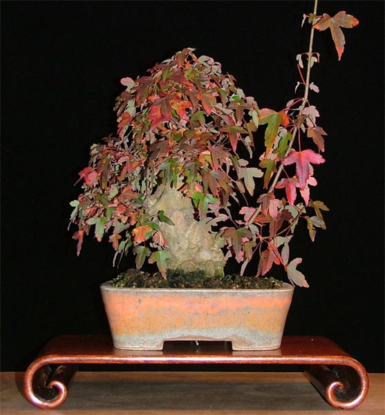 DSCF1608ak.jpg