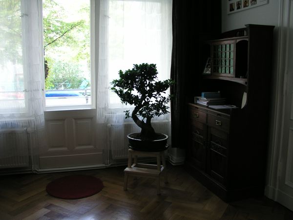 P1010278.jpg