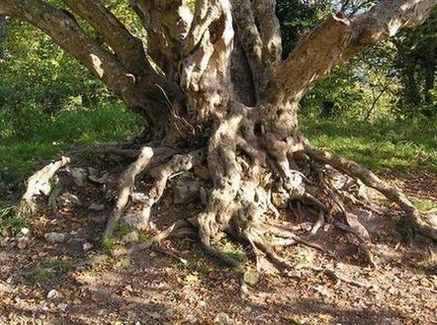 neue Bilder 837462.jpg