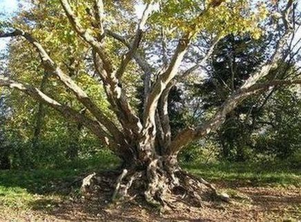 neue Bilder 837461.jpg