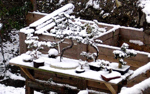 winter2.jpg